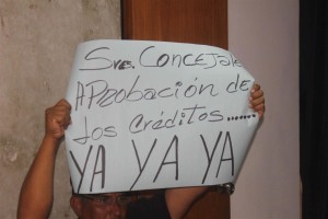 IMG 2751 Large 300x200